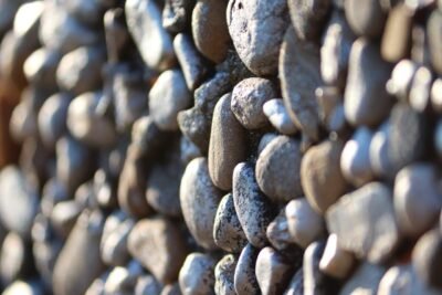 친환경 디자인 프로젝트 시작